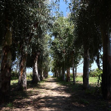 Verdemare Cefalù Εξωτερικό φωτογραφία